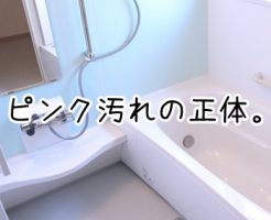 お風呂 ピンク 落とし方
