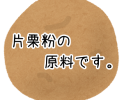 片栗粉の原料はじゃがいも グルテンと糖質についても解説