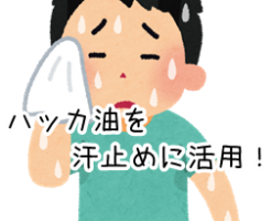 ハッカ油 汗止め