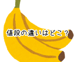 バナナ 値段の違い