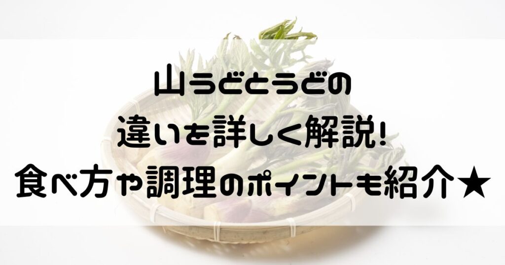 山うど うど 違い